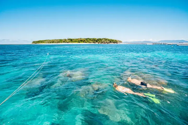 Green Island with snorkellers in front