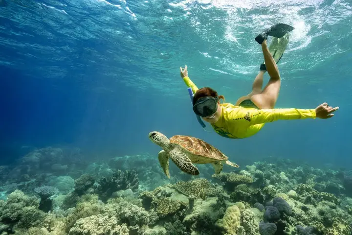 Snorkeller diving down to a turtle at Mackay Reef