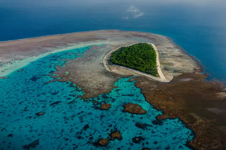 Lady Musgrave Island cay and lagoon from the air